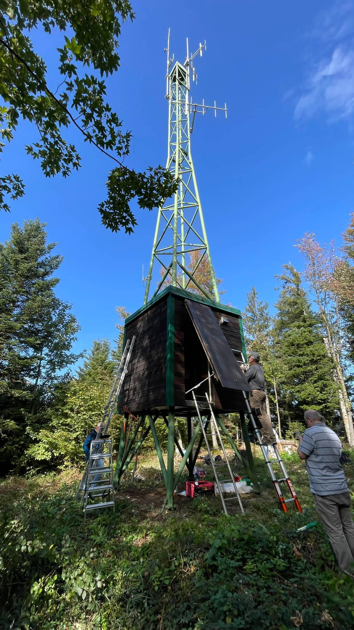 UF egg Renovation Holzhaus