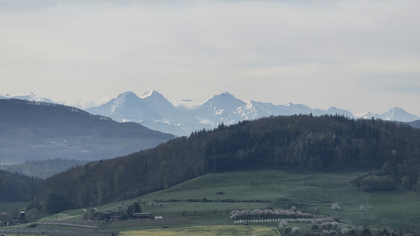 aussicht sonnenberg tn